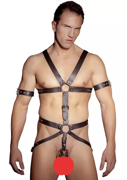 Zado Miesten Harness - SM asut miehille - L20101001110 - 2