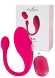Orgasmikuula ja kauko-ohjain - Klitoriskiihottimet ja Muut Hierojat - 4024144494590 - 1