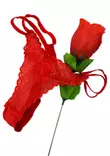 Tekoruusu, jonka ter=C3=A4lehtien sis=C3=A4=C3=A4n pakattu punaiset st=
ringit - Stringit ja Pikkuhousut - 8412345051500 - 1