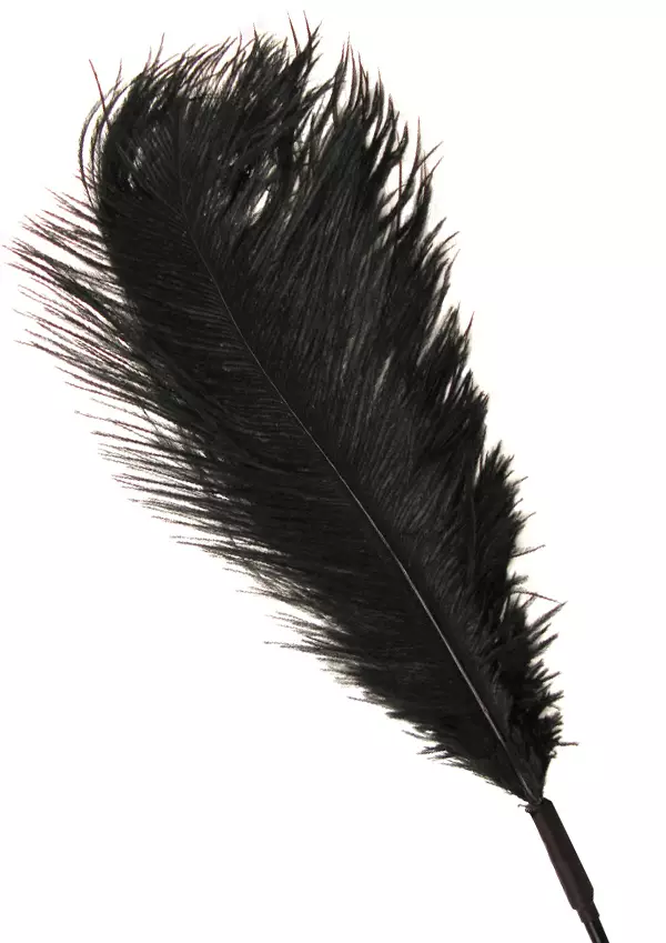 Musta Kutitussulka - Muuta kivaa - 4024144009190 - 1