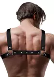 Fetish Attitude Miesten Rintaharness - SM asut miehille - 8435566041761 - 2