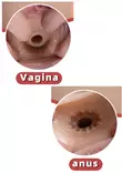 Vagina ja anus sis=C3=A4lt=C3=A4 kuvioitu - Motoroidut masturbaattorit - 8435565958282 - 8