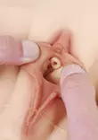 Ultra Realistic Vagina Form L - Feminiineille - 4041937564582 - 4