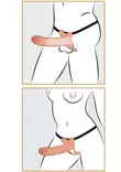 Strap on dildo sopii niin naisille kuin miehillekin, piirretty esimerk=
ki - Penisjatkot, Holkit ja Potenssituet - 4024144549023 - 7