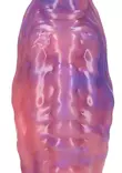 Anaalidildon pinnalla nystyröitä sekä uritus - Anaalidildot - 8714273024374 - 5