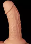 Realistic Curved Dildo - Dildot ja Tekopenikset - 6970260907484 - 6