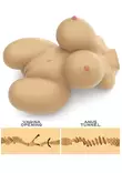 Streetgirls Torso Masturbaattori - Tekovaginat - 6942063400066 - 3