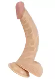 Tämä dildo on käyrä. Aitoa muistuttava, kivekset sekä imukuppi pohjassa. - Dildot ja Tekopenikset - 4892503112207 - 4