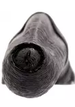 KiotosMonstar Alienworm Anuskiihotin - Anustapit - 8720246441017 - 5