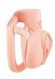Vaginan n=C3=A4k=C3=B6inen siveysvy=C3=B6 miehelle - Siveysvyöt - 6971017807088 - 1