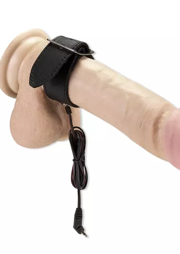 Rimba ElectroSex Penisremmi - ElectroSex Sähkölelut - 8718924231708 - 1