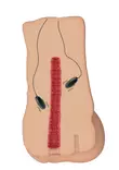 Vibrating Slut Hole Masturbaattori - Motoroidut masturbaattorit - 8713221843579 - 3