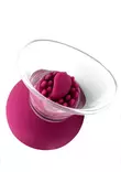 Vibrating & Rotating Pumppu - Vaginapumput ja klitorispumput - 8713221842619 - 3